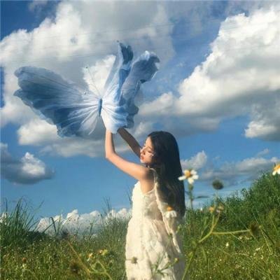夏洛特的网2：韦伯历险记