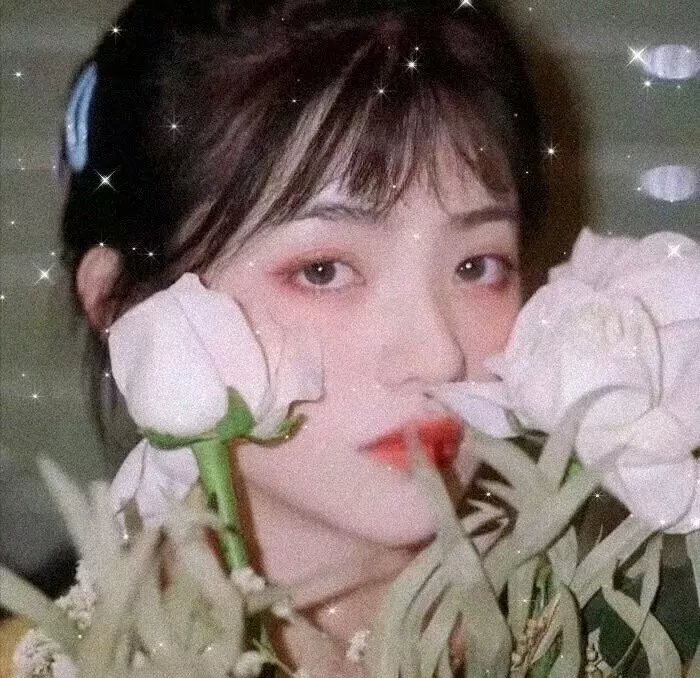 骗徒奇遇记